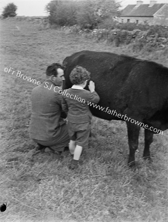 FATHER AND SON MILKING COW